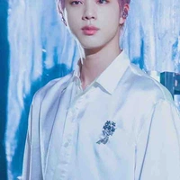 Seokjin/Jin 