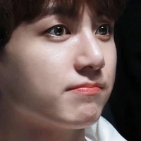 Jungkook(bunny)