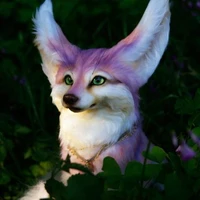 esmeraldapet