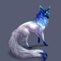 luz fúria pet