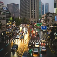 Seoul Loving Author