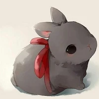 KOKO