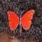 NoN