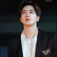 seok jin