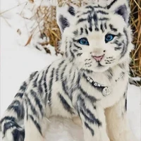 Tiger cub