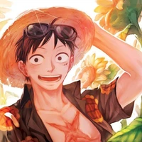 criador/luffy