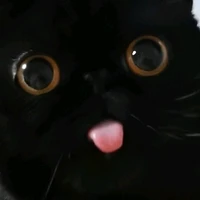 2แฝด🐱