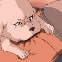 Akamaru 🐶