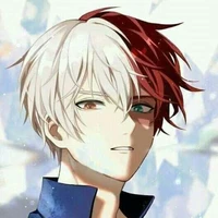 Shoto Todoroki