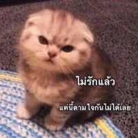 แอด