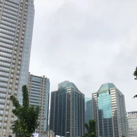 Ziya