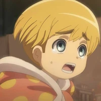 Armin Arlert