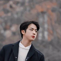 Kim seokjin