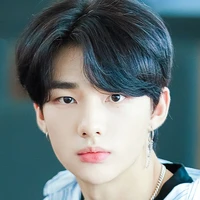 park hyunjin/seketaris jungkook