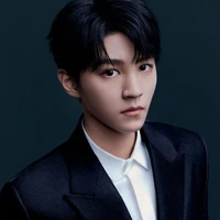 wang junkai