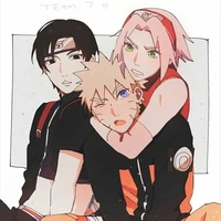 equipo 7