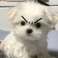 แอดเอง
