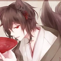 darkfox (dream disciple)