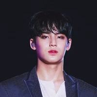Kim Mingyu