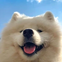 เปา