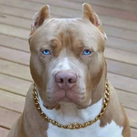 Cronos Alves Souza(Pitbull)