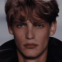 Aven williards