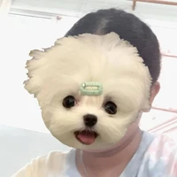 แอดเอง