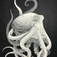 octavian deepfin /octopus form
