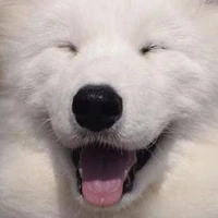 ^^