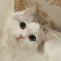 ฟูจิ