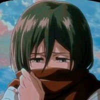mikasa