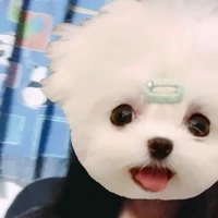 แอดติดตลก