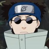 Shino Aburame (omega)