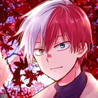 todoroki