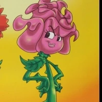 rosa 🥀