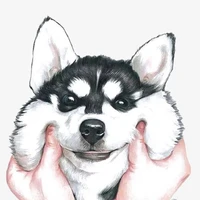♡Authtor-kun♡