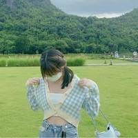 ทิวลิป