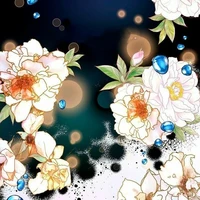 °•★•♪•★•°