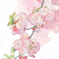 °•★•♪•★•°