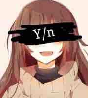 Y/n