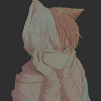 Todoroki
