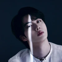 Kim Seok-jin(jin)