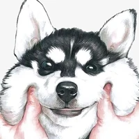 Dump Author / Vika