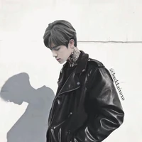 seokjin alden domino