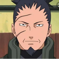 nara shikaku