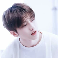 คิน[คนเรียบร้อย]