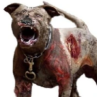 dog zombie
