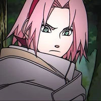 Sakura🌺