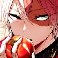 shoto todoroki