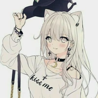 Y/N